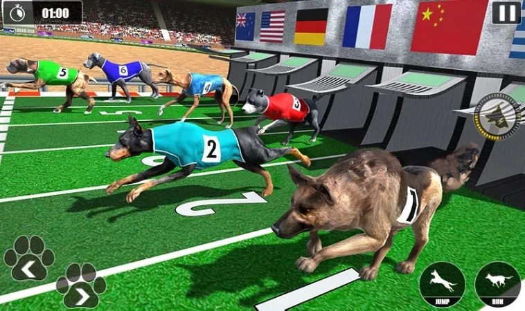 Cách chơi game nhanh Đua Chó tại SunWin